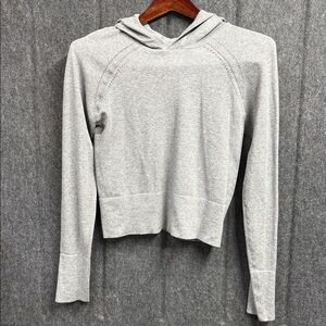 Source Unknown Light Gray Women's Hoodie